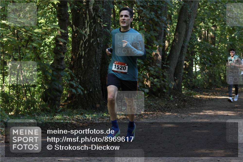 28.09.2025 - 33. Volkslauf durch das schöne Alstertal Strokosch-Dieckow http://msf.ph/oto/8969617 28.09.2025 11:31:59 Laufen 1520 meine-sportfotos.de