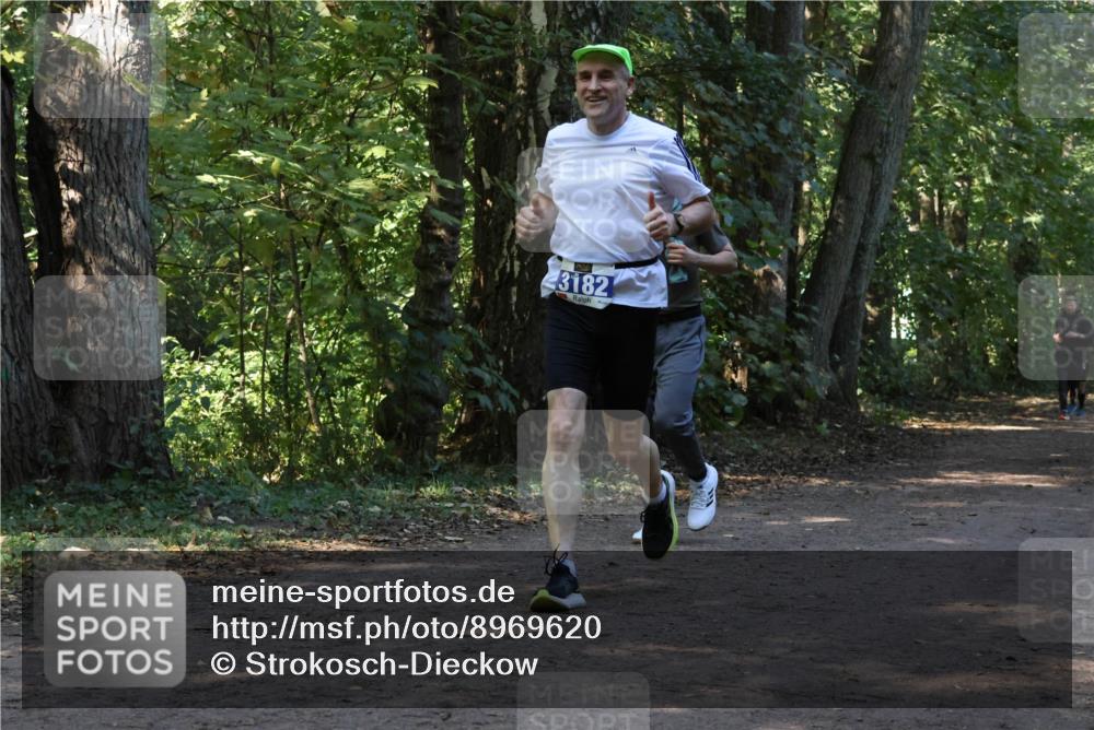28.09.2025 - 33. Volkslauf durch das schöne Alstertal Strokosch-Dieckow http://msf.ph/oto/8969620 28.09.2025 11:32:06 Laufen 3182 meine-sportfotos.de