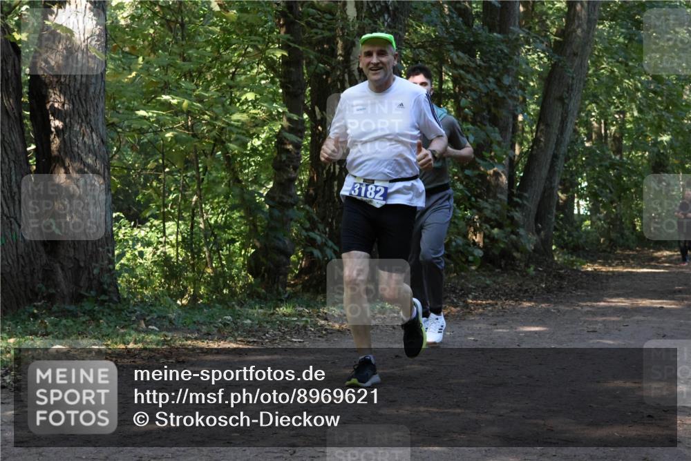 28.09.2025 - 33. Volkslauf durch das schöne Alstertal Strokosch-Dieckow http://msf.ph/oto/8969621 28.09.2025 11:32:06 Laufen 3182 meine-sportfotos.de