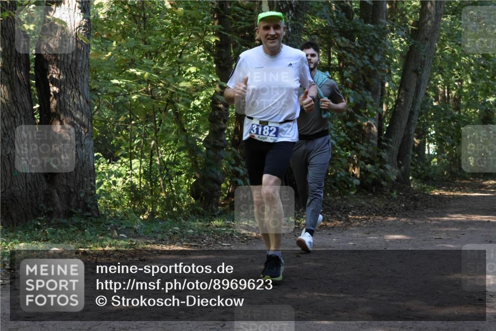28.09.2025 - 33. Volkslauf durch das schöne Alstertal Strokosch-Dieckow http://msf.ph/oto/8969623 28.09.2025 11:32:06 Laufen 3182 meine-sportfotos.de