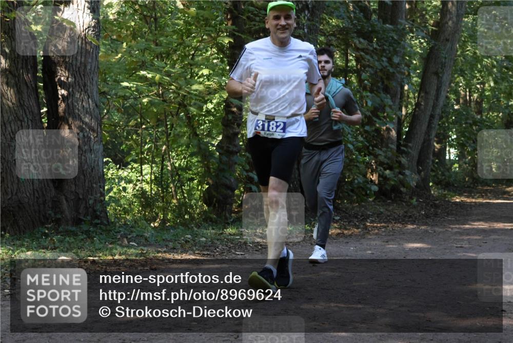28.09.2025 - 33. Volkslauf durch das schöne Alstertal Strokosch-Dieckow http://msf.ph/oto/8969624 28.09.2025 11:32:06 Laufen 3182 meine-sportfotos.de