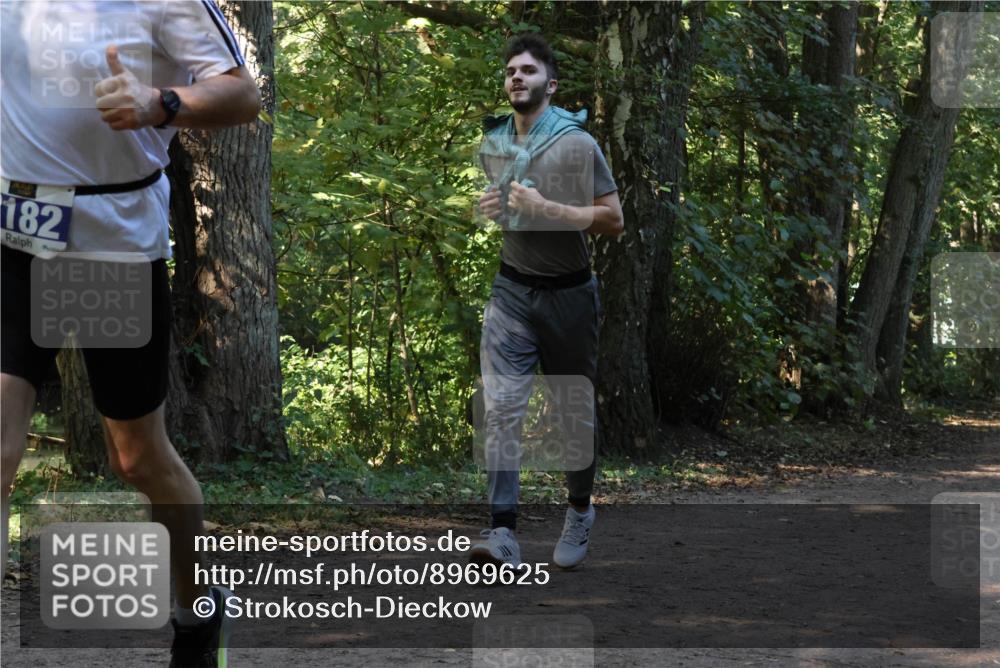 28.09.2025 - 33. Volkslauf durch das schöne Alstertal Strokosch-Dieckow http://msf.ph/oto/8969625 28.09.2025 11:32:07 Laufen 182 meine-sportfotos.de