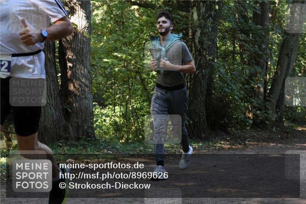 28.09.2025 - 33. Volkslauf durch das schöne Alstertal Strokosch-Dieckow http://msf.ph/oto/8969626 28.09.2025 11:32:07 Laufen 25 meine-sportfotos.de