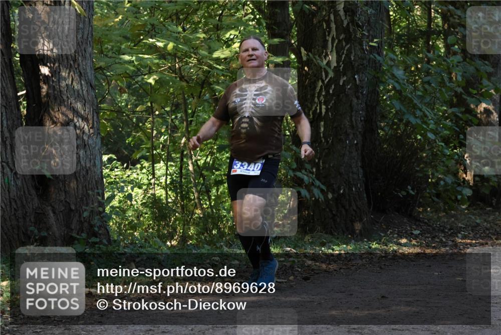 28.09.2025 - 33. Volkslauf durch das schöne Alstertal Strokosch-Dieckow http://msf.ph/oto/8969628 28.09.2025 11:32:19 Laufen 3340 meine-sportfotos.de