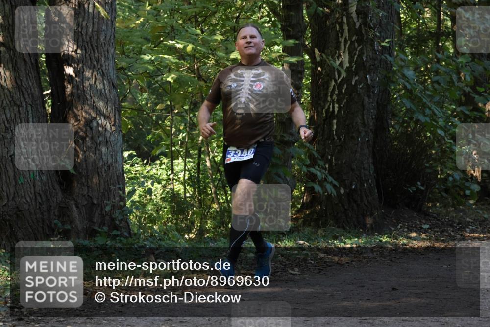28.09.2025 - 33. Volkslauf durch das schöne Alstertal Strokosch-Dieckow http://msf.ph/oto/8969630 28.09.2025 11:32:19 Laufen 3340 meine-sportfotos.de