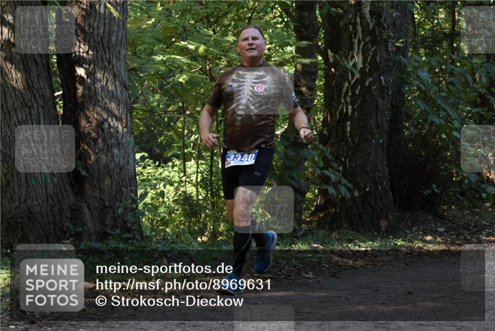 28.09.2025 - 33. Volkslauf durch das schöne Alstertal Strokosch-Dieckow http://msf.ph/oto/8969631 28.09.2025 11:32:19 Laufen 3340 meine-sportfotos.de