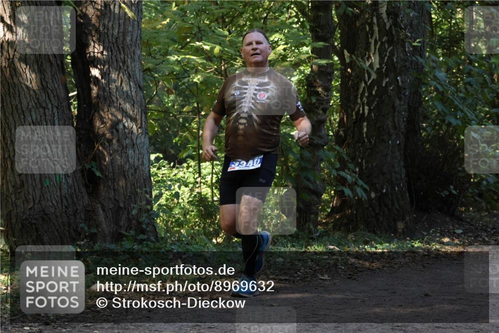 28.09.2025 - 33. Volkslauf durch das schöne Alstertal Strokosch-Dieckow http://msf.ph/oto/8969632 28.09.2025 11:32:19 Laufen 3940 meine-sportfotos.de