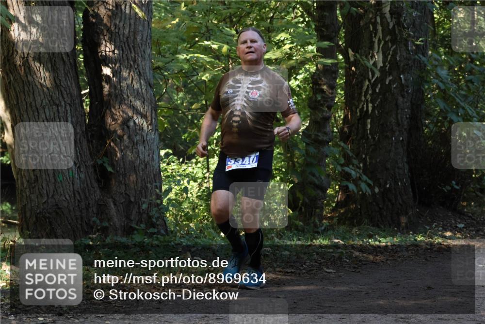 28.09.2025 - 33. Volkslauf durch das schöne Alstertal Strokosch-Dieckow http://msf.ph/oto/8969634 28.09.2025 11:32:19 Laufen 3340 meine-sportfotos.de