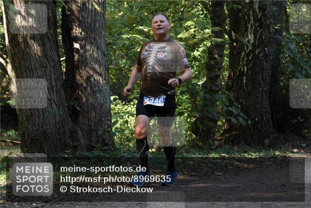 28.09.2025 - 33. Volkslauf durch das schöne Alstertal Strokosch-Dieckow http://msf.ph/oto/8969635 28.09.2025 11:32:19 Laufen 3340 meine-sportfotos.de