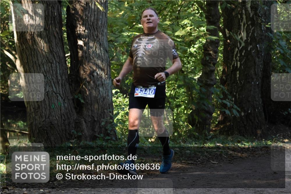 28.09.2025 - 33. Volkslauf durch das schöne Alstertal Strokosch-Dieckow http://msf.ph/oto/8969636 28.09.2025 11:32:19 Laufen 3340 meine-sportfotos.de