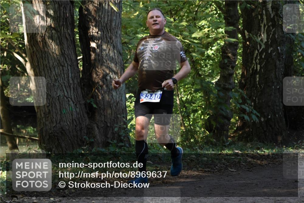 28.09.2025 - 33. Volkslauf durch das schöne Alstertal Strokosch-Dieckow http://msf.ph/oto/8969637 28.09.2025 11:32:19 Laufen 3340 meine-sportfotos.de
