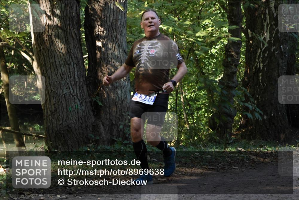 28.09.2025 - 33. Volkslauf durch das schöne Alstertal Strokosch-Dieckow http://msf.ph/oto/8969638 28.09.2025 11:32:19 Laufen 3340 meine-sportfotos.de
