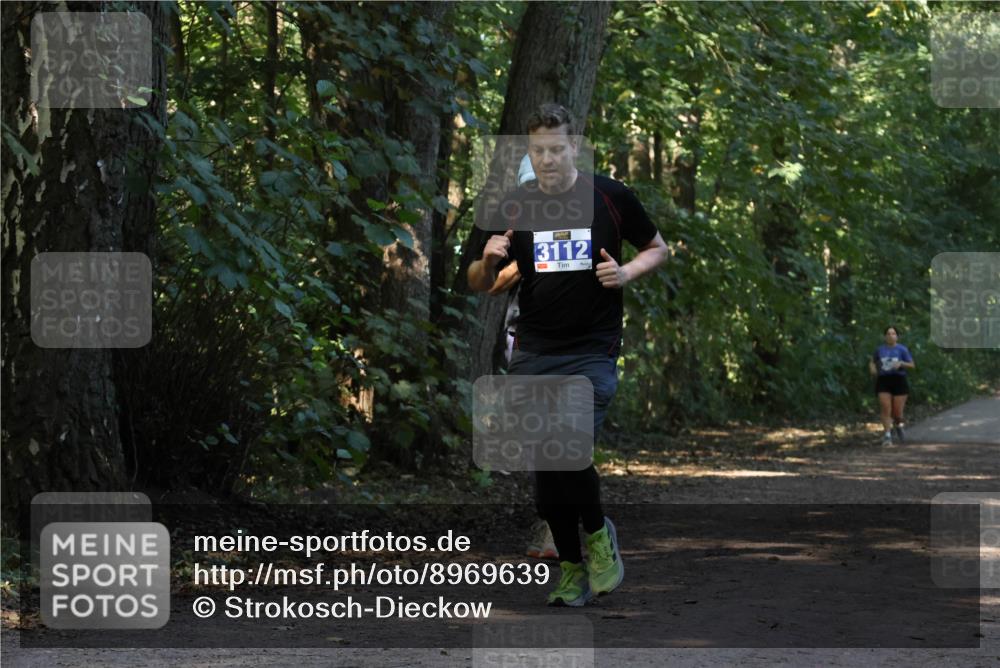 28.09.2025 - 33. Volkslauf durch das schöne Alstertal Strokosch-Dieckow http://msf.ph/oto/8969639 28.09.2025 11:32:31 Laufen 3112 meine-sportfotos.de