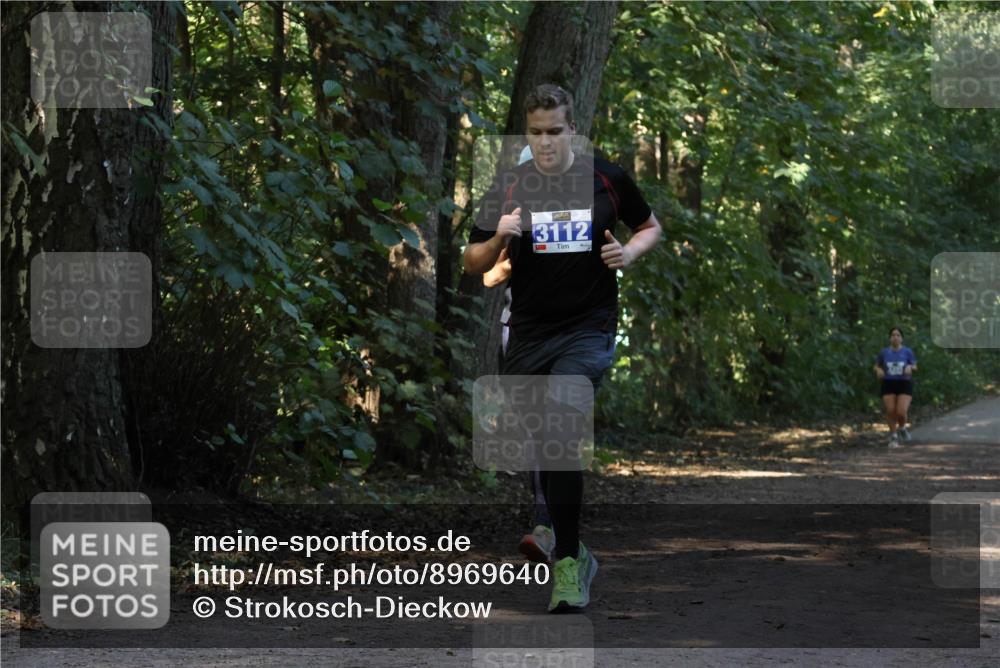 28.09.2025 - 33. Volkslauf durch das schöne Alstertal Strokosch-Dieckow http://msf.ph/oto/8969640 28.09.2025 11:32:31 Laufen 3112 meine-sportfotos.de
