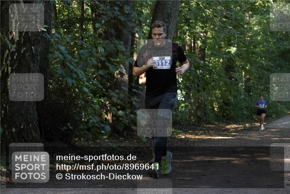 28.09.2025 - 33. Volkslauf durch das schöne Alstertal Strokosch-Dieckow http://msf.ph/oto/8969641 28.09.2025 11:32:31 Laufen 3112 meine-sportfotos.de
