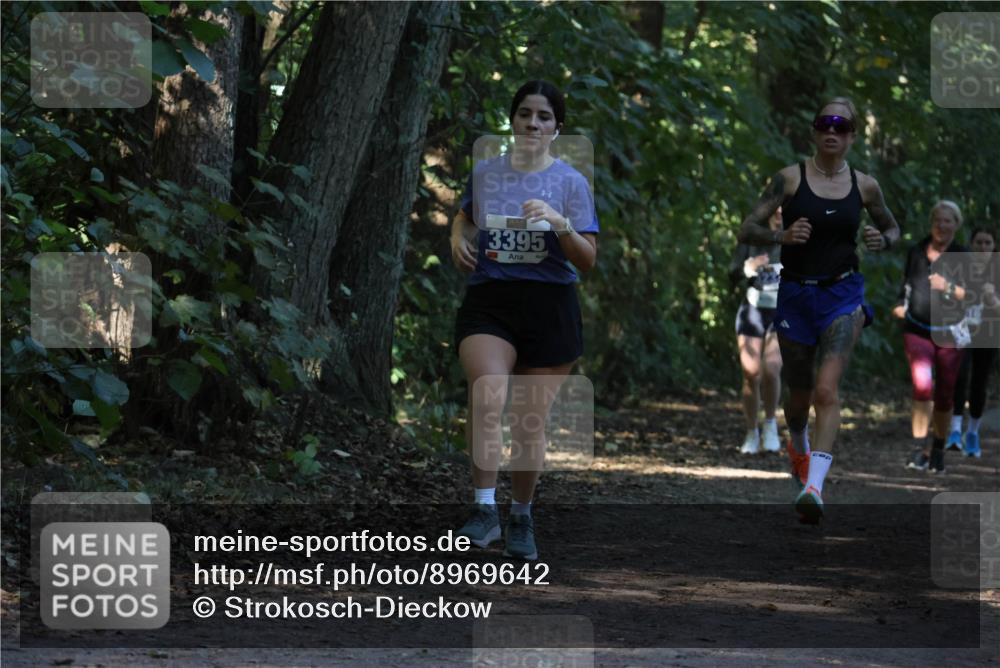 28.09.2025 - 33. Volkslauf durch das schöne Alstertal Strokosch-Dieckow http://msf.ph/oto/8969642 28.09.2025 11:32:42 Laufen 3395 meine-sportfotos.de