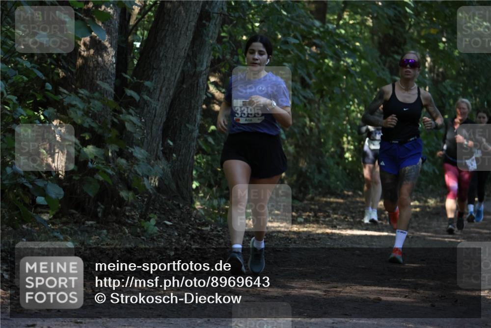 28.09.2025 - 33. Volkslauf durch das schöne Alstertal Strokosch-Dieckow http://msf.ph/oto/8969643 28.09.2025 11:32:42 Laufen 3395 meine-sportfotos.de