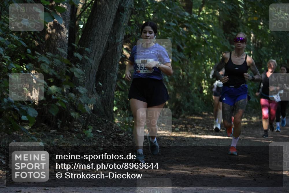 28.09.2025 - 33. Volkslauf durch das schöne Alstertal Strokosch-Dieckow http://msf.ph/oto/8969644 28.09.2025 11:32:43 Laufen 33 meine-sportfotos.de