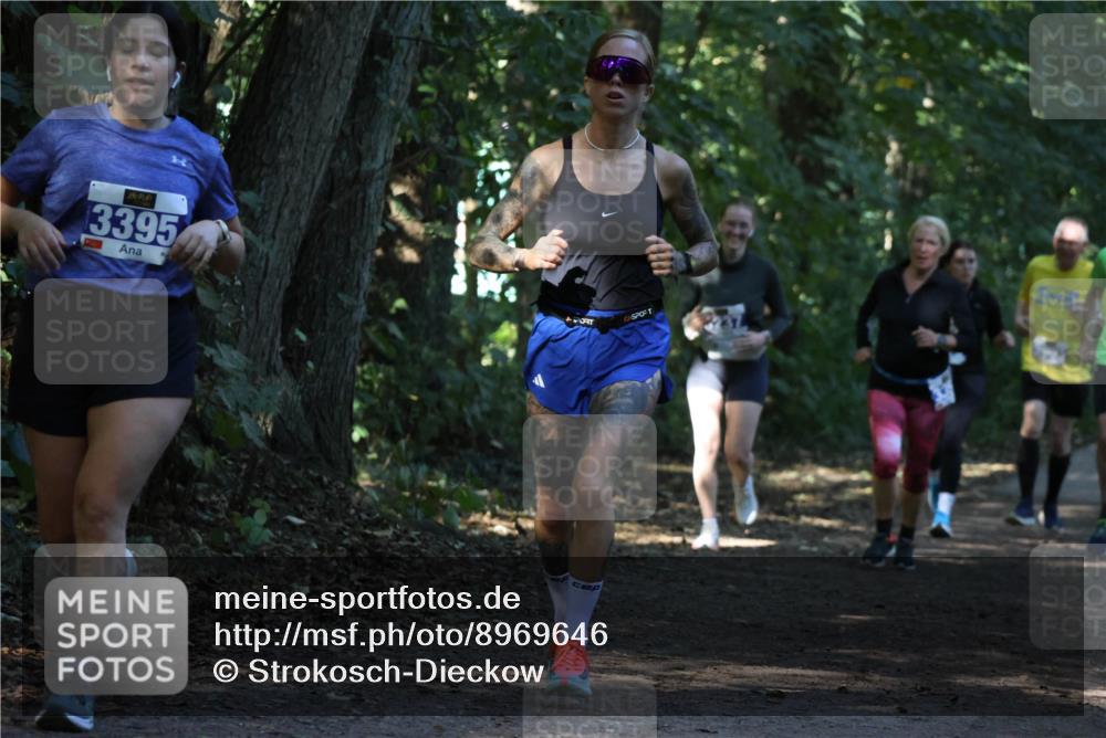 28.09.2025 - 33. Volkslauf durch das schöne Alstertal Strokosch-Dieckow http://msf.ph/oto/8969646 28.09.2025 11:32:44 Laufen 3395 meine-sportfotos.de