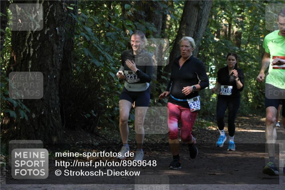 28.09.2025 - 33. Volkslauf durch das schöne Alstertal Strokosch-Dieckow http://msf.ph/oto/8969648 28.09.2025 11:32:51 Laufen 3237, 335, 3216 meine-sportfotos.de