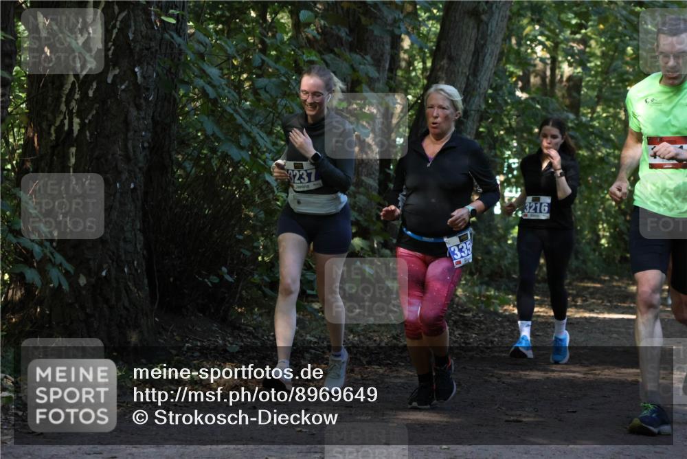 28.09.2025 - 33. Volkslauf durch das schöne Alstertal Strokosch-Dieckow http://msf.ph/oto/8969649 28.09.2025 11:32:51 Laufen 3237, 335, 3216 meine-sportfotos.de