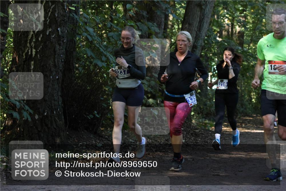 28.09.2025 - 33. Volkslauf durch das schöne Alstertal Strokosch-Dieckow http://msf.ph/oto/8969650 28.09.2025 11:32:51 Laufen 3237, 335, 3216, 5, 0, 1 meine-sportfotos.de