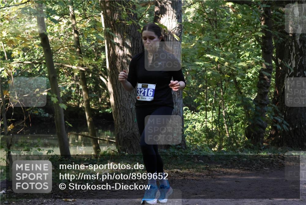 28.09.2025 - 33. Volkslauf durch das schöne Alstertal Strokosch-Dieckow http://msf.ph/oto/8969652 28.09.2025 11:32:55 Laufen 3216 meine-sportfotos.de