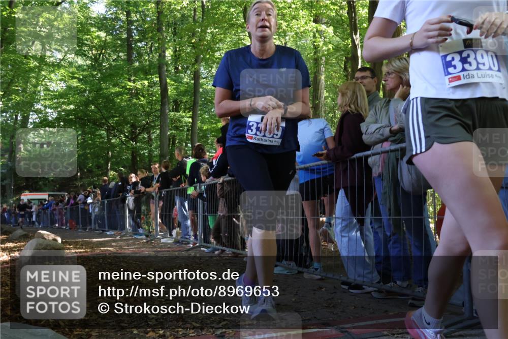 28.09.2025 - 33. Volkslauf durch das schöne Alstertal Strokosch-Dieckow http://msf.ph/oto/8969653 28.09.2025 11:50:18 Ziel 1614, 3389 meine-sportfotos.de