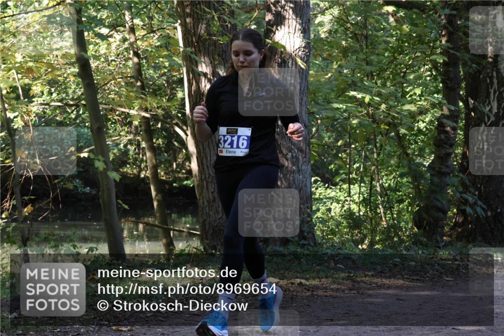 28.09.2025 - 33. Volkslauf durch das schöne Alstertal Strokosch-Dieckow http://msf.ph/oto/8969654 28.09.2025 11:32:55 Laufen 3216 meine-sportfotos.de
