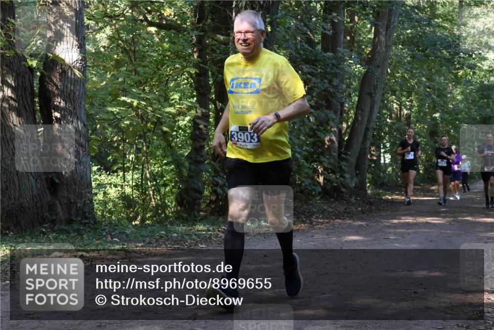 28.09.2025 - 33. Volkslauf durch das schöne Alstertal Strokosch-Dieckow http://msf.ph/oto/8969655 28.09.2025 11:32:57 Laufen 3903 meine-sportfotos.de