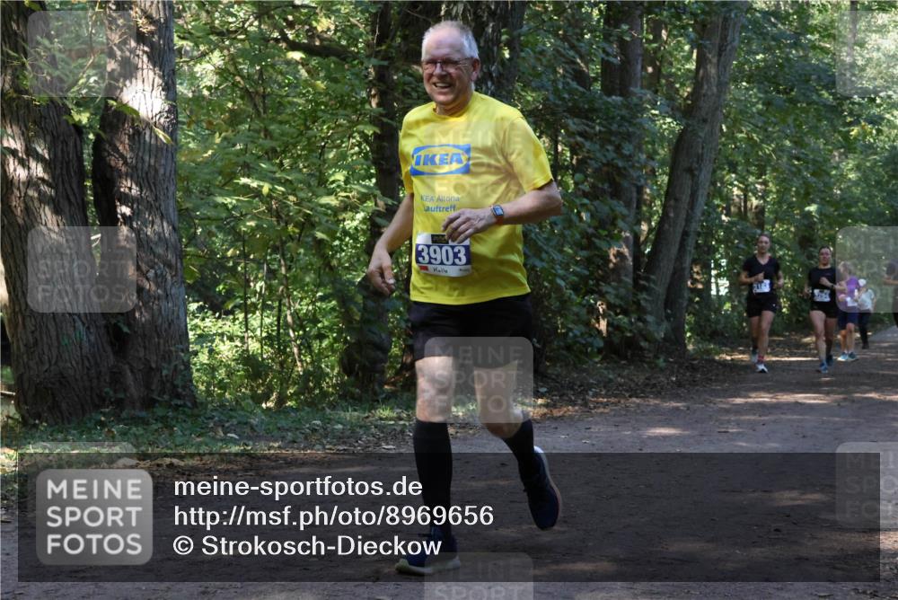 28.09.2025 - 33. Volkslauf durch das schöne Alstertal Strokosch-Dieckow http://msf.ph/oto/8969656 28.09.2025 11:32:57 Laufen 3903 meine-sportfotos.de