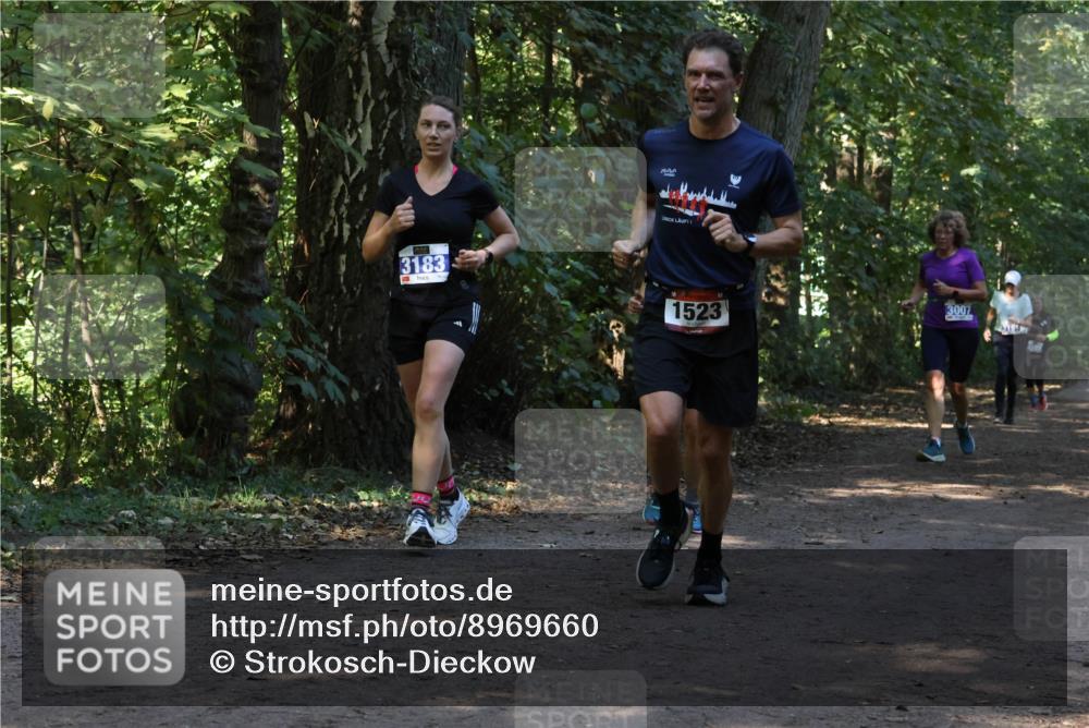 28.09.2025 - 33. Volkslauf durch das schöne Alstertal Strokosch-Dieckow http://msf.ph/oto/8969660 28.09.2025 11:33:01 Laufen 3183, 1523, 3007 meine-sportfotos.de