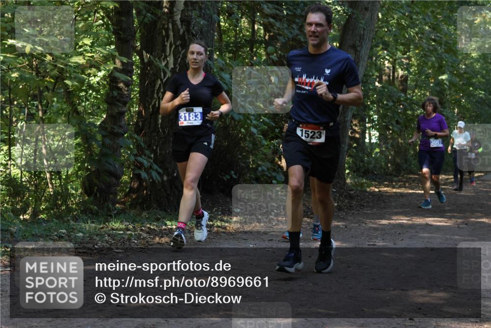 28.09.2025 - 33. Volkslauf durch das schöne Alstertal Strokosch-Dieckow http://msf.ph/oto/8969661 28.09.2025 11:33:02 Laufen 3183, 1523, 3007 meine-sportfotos.de