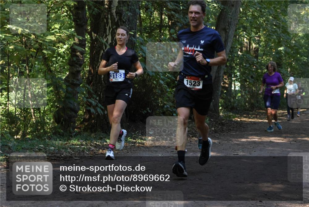 28.09.2025 - 33. Volkslauf durch das schöne Alstertal Strokosch-Dieckow http://msf.ph/oto/8969662 28.09.2025 11:33:02 Laufen 3183, 1523, 007 meine-sportfotos.de