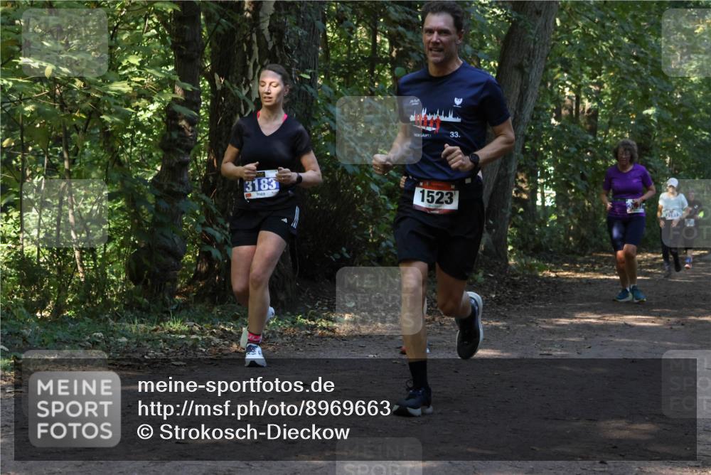 28.09.2025 - 33. Volkslauf durch das schöne Alstertal Strokosch-Dieckow http://msf.ph/oto/8969663 28.09.2025 11:33:02 Laufen 3183, 33, 1523 meine-sportfotos.de