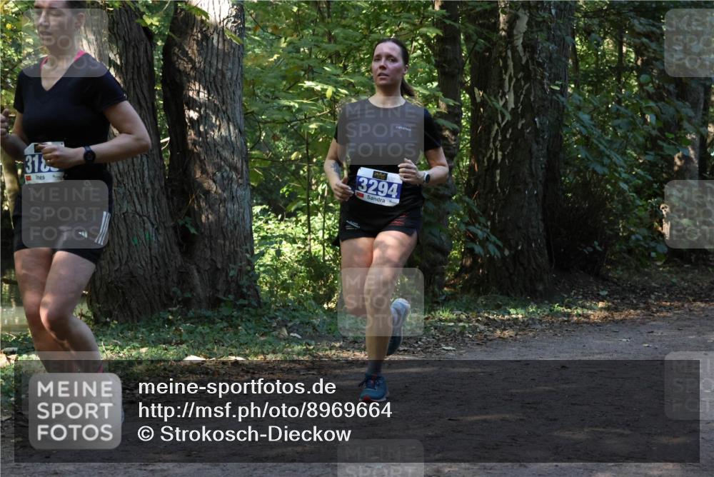 28.09.2025 - 33. Volkslauf durch das schöne Alstertal Strokosch-Dieckow http://msf.ph/oto/8969664 28.09.2025 11:33:04 Laufen 318, 3294 meine-sportfotos.de