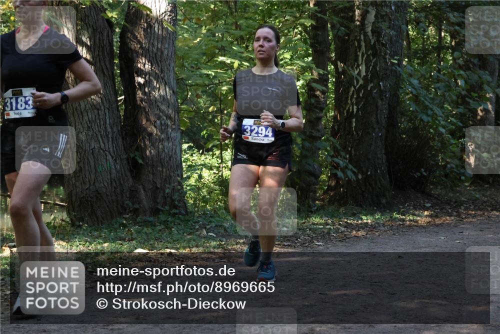28.09.2025 - 33. Volkslauf durch das schöne Alstertal Strokosch-Dieckow http://msf.ph/oto/8969665 28.09.2025 11:33:04 Laufen 3183, 3294 meine-sportfotos.de