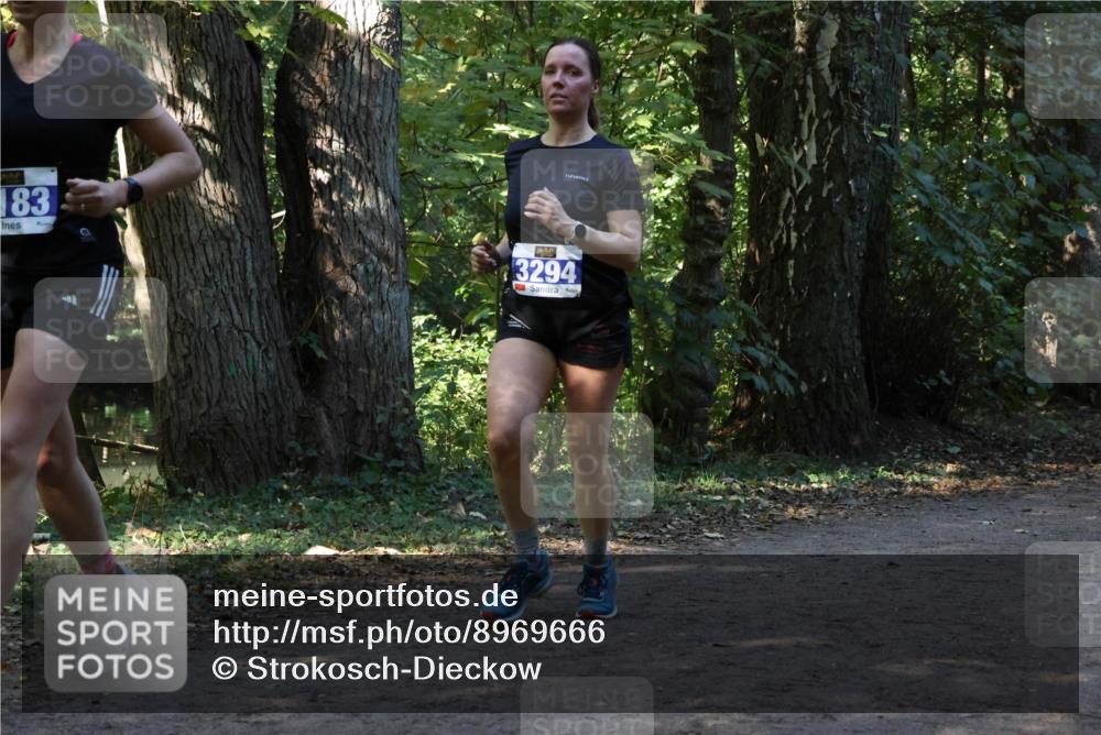 28.09.2025 - 33. Volkslauf durch das schöne Alstertal Strokosch-Dieckow http://msf.ph/oto/8969666 28.09.2025 11:33:04 Laufen 83, 3294 meine-sportfotos.de