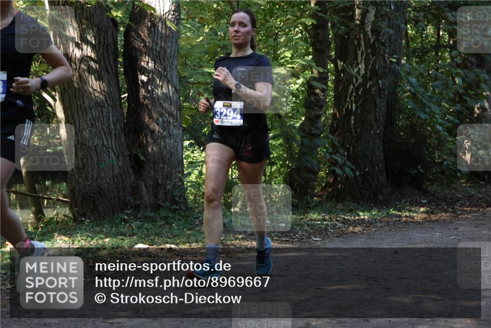 28.09.2025 - 33. Volkslauf durch das schöne Alstertal Strokosch-Dieckow http://msf.ph/oto/8969667 28.09.2025 11:33:04 Laufen 3294 meine-sportfotos.de