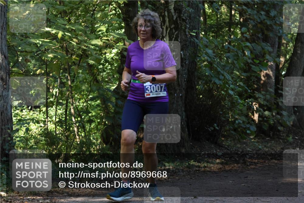 28.09.2025 - 33. Volkslauf durch das schöne Alstertal Strokosch-Dieckow http://msf.ph/oto/8969668 28.09.2025 11:33:07 Laufen 3007 meine-sportfotos.de