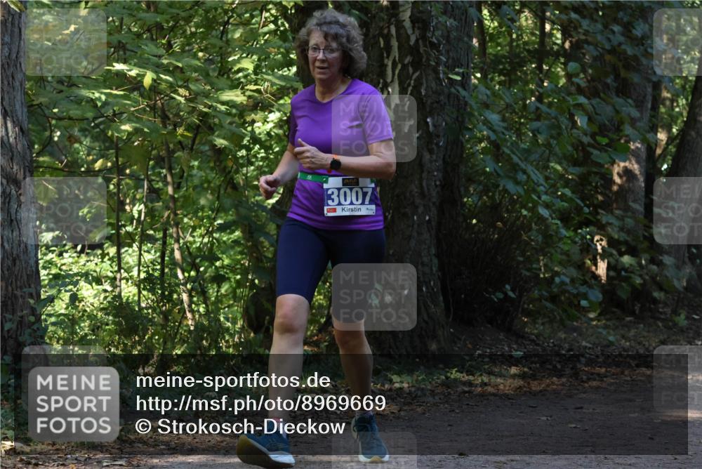 28.09.2025 - 33. Volkslauf durch das schöne Alstertal Strokosch-Dieckow http://msf.ph/oto/8969669 28.09.2025 11:33:07 Laufen 3007 meine-sportfotos.de