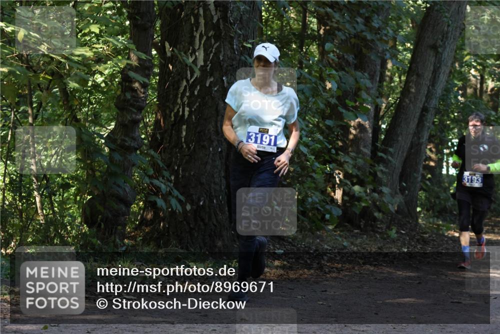 28.09.2025 - 33. Volkslauf durch das schöne Alstertal Strokosch-Dieckow http://msf.ph/oto/8969671 28.09.2025 11:33:11 Laufen 3191, 3193 meine-sportfotos.de