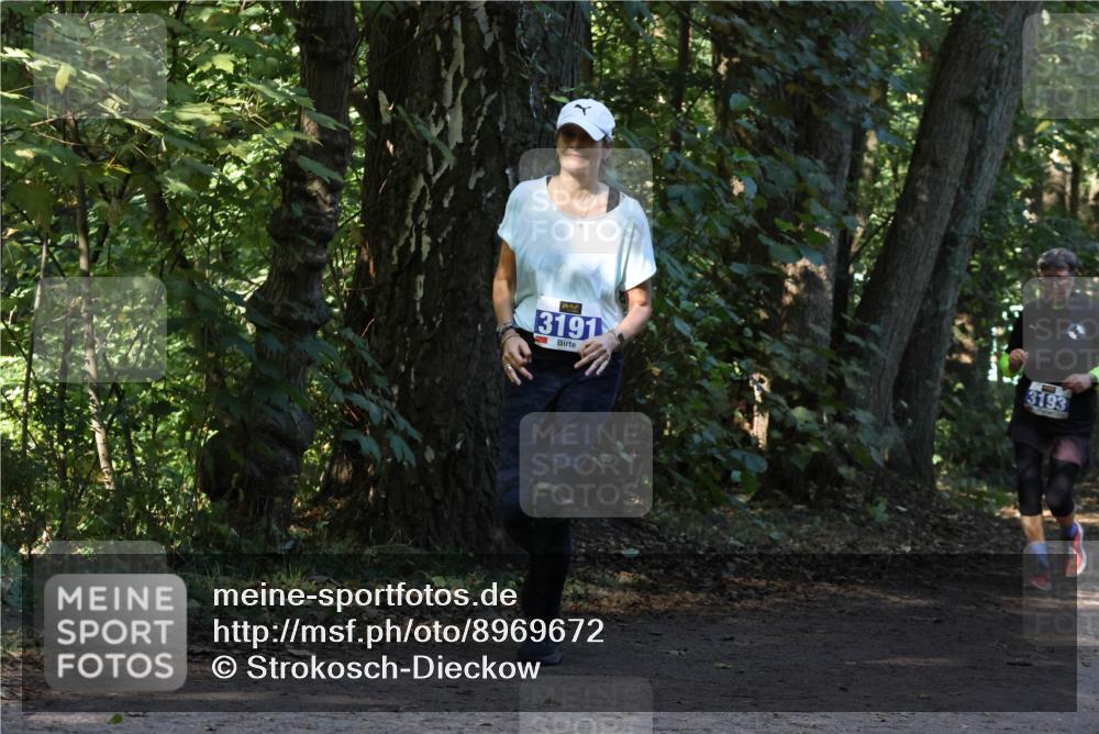 28.09.2025 - 33. Volkslauf durch das schöne Alstertal Strokosch-Dieckow http://msf.ph/oto/8969672 28.09.2025 11:33:11 Laufen 3191, 3193 meine-sportfotos.de
