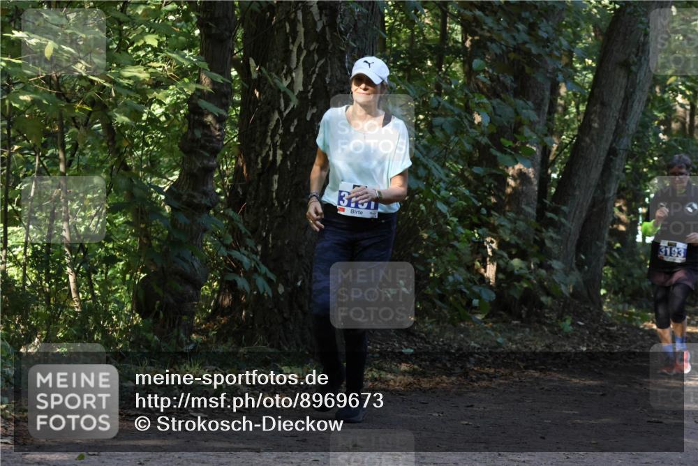 28.09.2025 - 33. Volkslauf durch das schöne Alstertal Strokosch-Dieckow http://msf.ph/oto/8969673 28.09.2025 11:33:11 Laufen 3130, 3193 meine-sportfotos.de