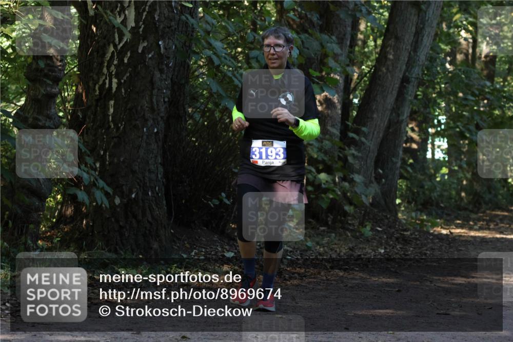 28.09.2025 - 33. Volkslauf durch das schöne Alstertal Strokosch-Dieckow http://msf.ph/oto/8969674 28.09.2025 11:33:14 Laufen 3193 meine-sportfotos.de