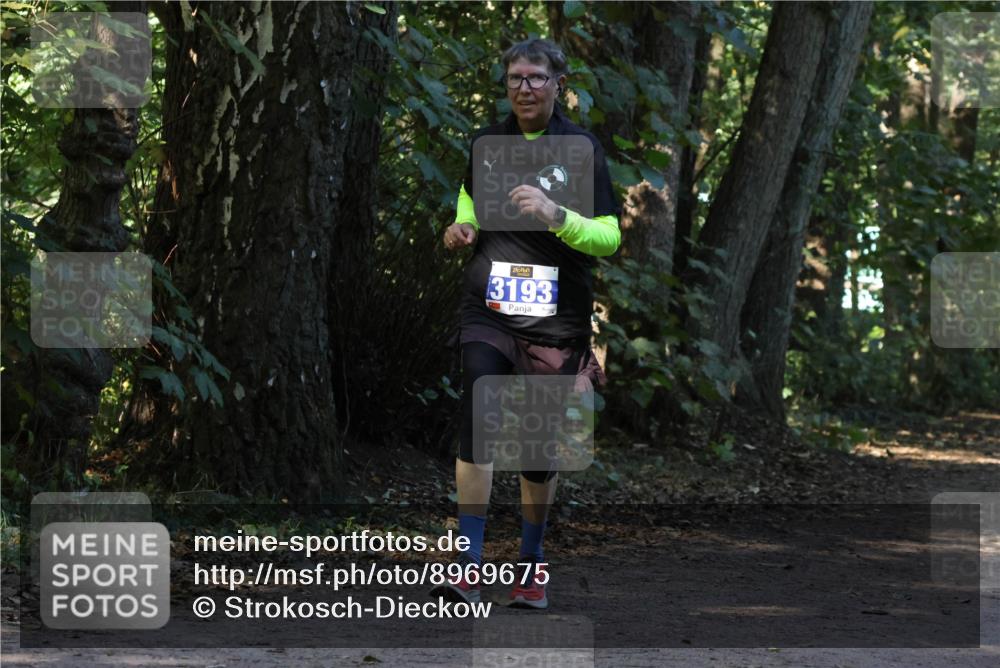 28.09.2025 - 33. Volkslauf durch das schöne Alstertal Strokosch-Dieckow http://msf.ph/oto/8969675 28.09.2025 11:33:14 Laufen 3193 meine-sportfotos.de