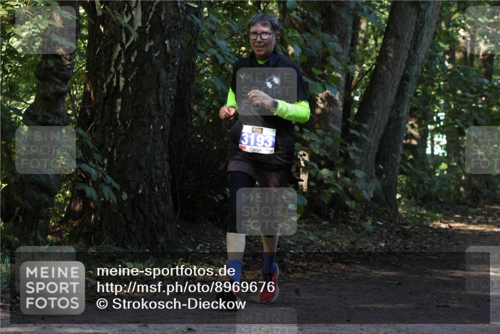 28.09.2025 - 33. Volkslauf durch das schöne Alstertal Strokosch-Dieckow http://msf.ph/oto/8969676 28.09.2025 11:33:14 Laufen 3193 meine-sportfotos.de