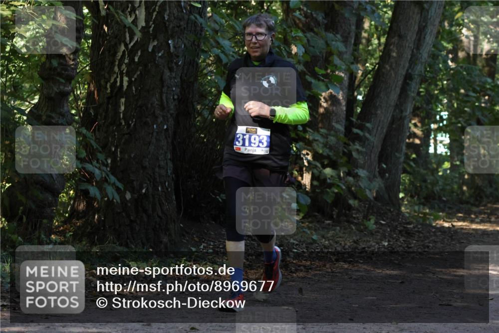 28.09.2025 - 33. Volkslauf durch das schöne Alstertal Strokosch-Dieckow http://msf.ph/oto/8969677 28.09.2025 11:33:14 Laufen 3193 meine-sportfotos.de