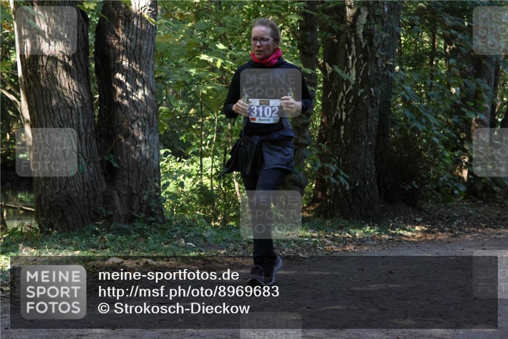 28.09.2025 - 33. Volkslauf durch das schöne Alstertal Strokosch-Dieckow http://msf.ph/oto/8969683 28.09.2025 11:33:35 Laufen 3102 meine-sportfotos.de