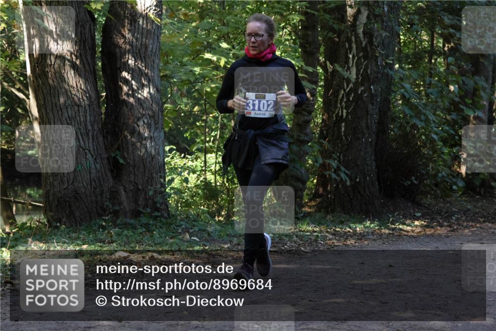 28.09.2025 - 33. Volkslauf durch das schöne Alstertal Strokosch-Dieckow http://msf.ph/oto/8969684 28.09.2025 11:33:35 Laufen 3102 meine-sportfotos.de